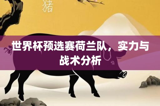 世界杯预选赛荷兰队，实力与战术分析