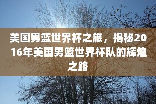 美国男篮世界杯之旅，揭秘2016年美国男篮世界杯队的辉煌之路