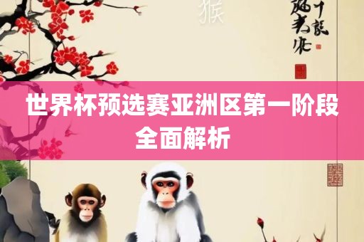 世界杯预选赛亚洲区第一阶段全面解析
