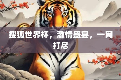 搜狐世界杯，激情盛宴，一网打尽