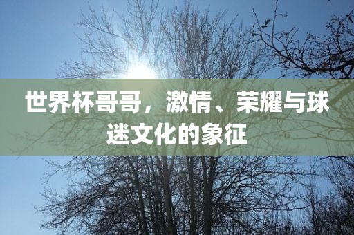 世界杯哥哥，激情、荣耀与球迷文化的象征