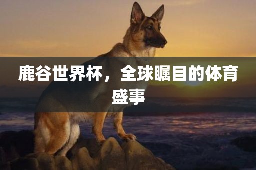 鹿谷世界杯，全球瞩目的体育盛事