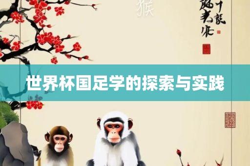 世界杯国足学的探索与实践
