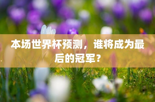 本场世界杯预测，谁将成为最后的冠军？