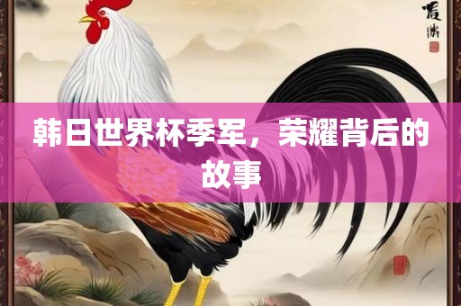 韩日世界杯季军，荣耀背后的故事