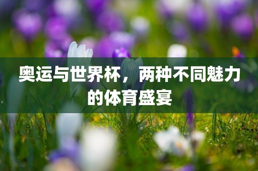 奥运与世界杯，两种不同魅力的体育盛宴
