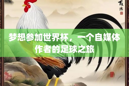梦想参加世界杯，一个自媒体作者的足球之旅