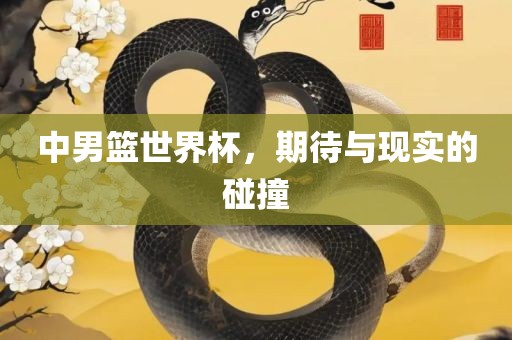 中男篮世界杯，期待与现实的碰撞