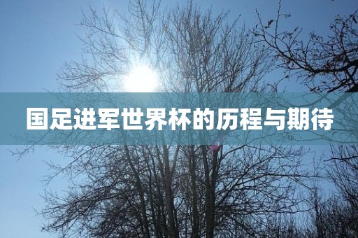 国足进军世界杯的历程与期待