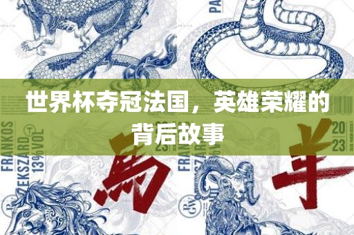 世界杯夺冠法国，英雄荣耀的背后故事