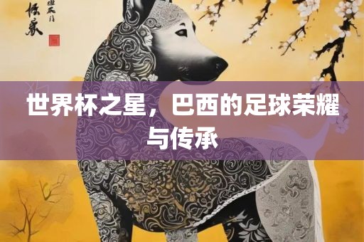世界杯之星，巴西的足球荣耀与传承