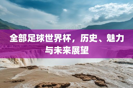 全部足球世界杯，历史、魅力与未来展望