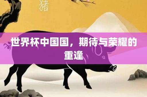 世界杯中国国，期待与荣耀的重逢