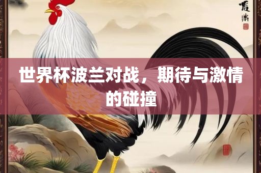 世界杯波兰对战，期待与激情的碰撞