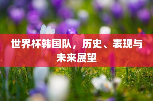 世界杯韩国队，历史、表现与未来展望