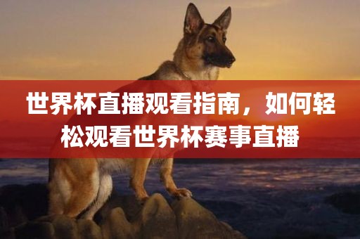 世界杯直播观看指南，如何轻松观看世界杯赛事直播