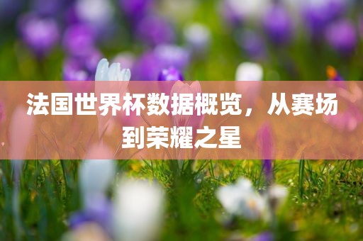 法国世界杯数据概览，从赛场到荣耀之星