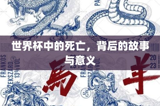 世界杯中的死亡，背后的故事与意义