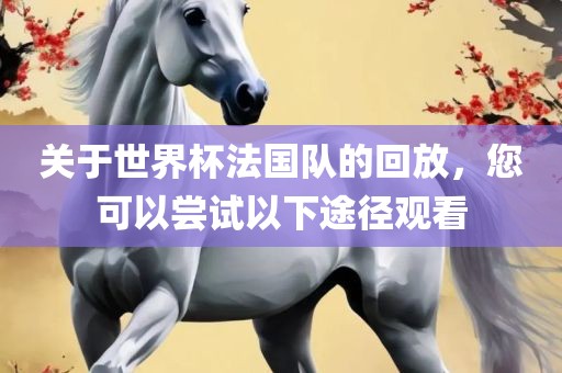 关于世界杯法国队的回放，您可以尝试以下途径观看