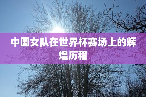 中国女队在世界杯赛场上的辉煌历程