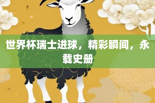 世界杯瑞士进球，精彩瞬间，永载史册