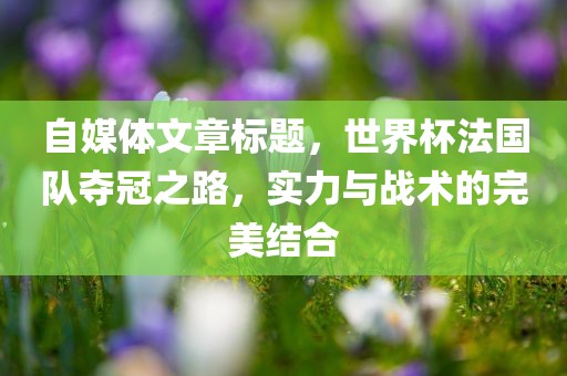 自媒体文章标题，世界杯法国队夺冠之路，实力与战术的完美结合