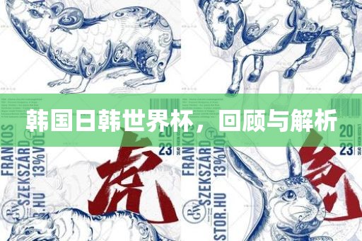 韩国日韩世界杯，回顾与解析
