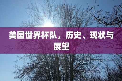 美国世界杯队，历史、现状与展望