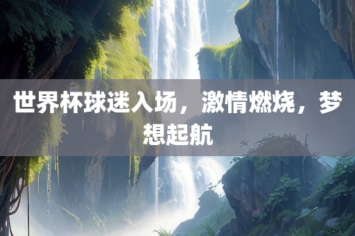 世界杯球迷入场，激情燃烧，梦想起航