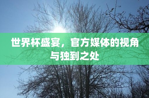 世界杯盛宴，官方媒体的视角与独到之处
