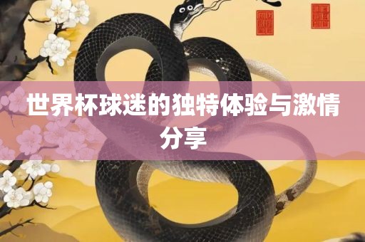 世界杯球迷的独特体验与激情分享