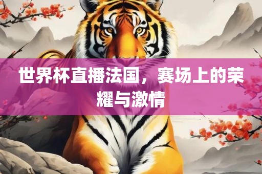 世界杯直播法国，赛场上的荣耀与激情