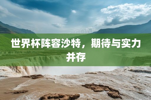 世界杯阵容沙特，期待与实力并存