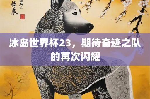 冰岛世界杯23，期待奇迹之队的再次闪耀
