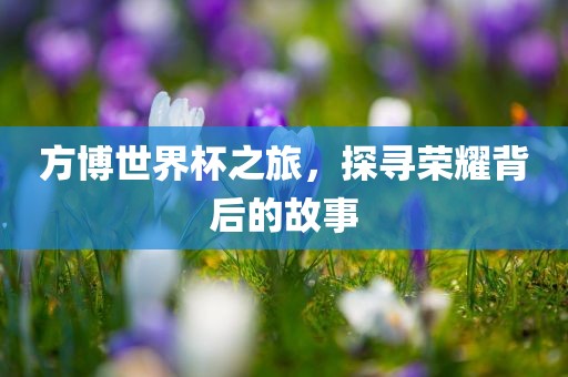方博世界杯之旅，探寻荣耀背后的故事