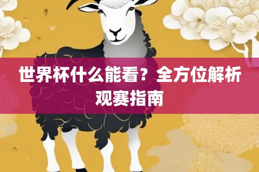 世界杯什么能看?全方位解析观赛指南