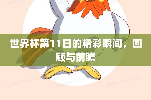 世界杯第11日的精彩瞬间，回顾与前瞻