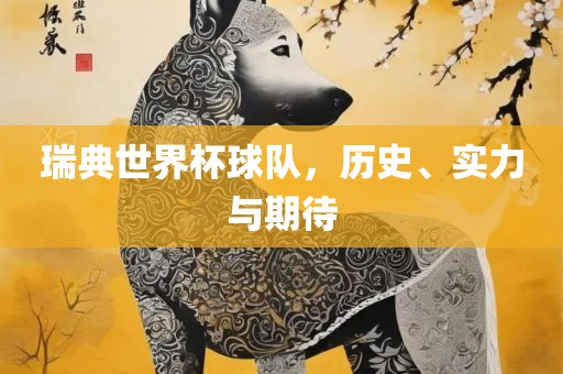 瑞典世界杯球队，历史、实力与期待
