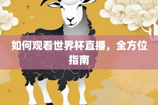 如何观看世界杯直播，全方位指南