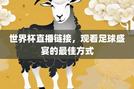 世界杯直播链接，观看足球盛宴的最佳方式