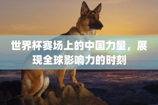世界杯赛场上的中国力量，展现全球影响力的时刻