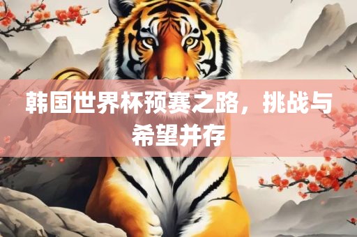 韩国世界杯预赛之路，挑战与希望并存