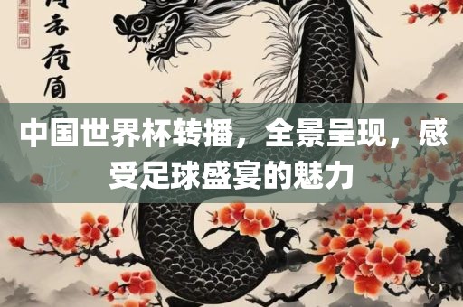 中国世界杯转播，全景呈现，感受足球盛宴的魅力