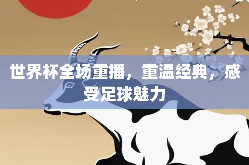世界杯全场重播，重温经典，感受足球魅力