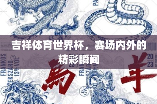 吉祥体育世界杯，赛场内外的精彩瞬间
