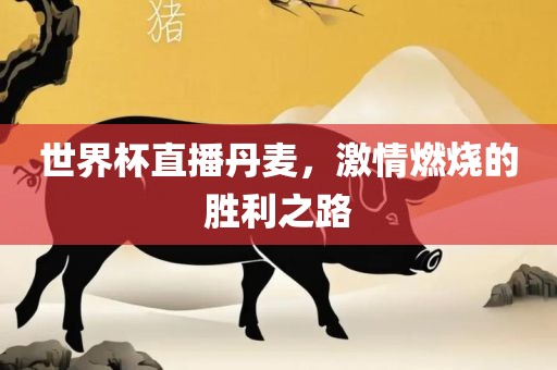 世界杯直播丹麦，激情燃烧的胜利之路