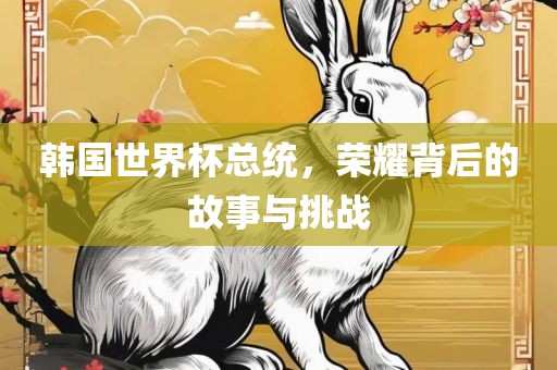 韩国世界杯总统，荣耀背后的故事与挑战