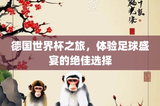 德国世界杯之旅，体验足球盛宴的绝佳选择