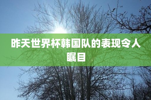 昨天世界杯韩国队的表现令人瞩目