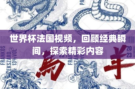 世界杯法国视频，回顾经典瞬间，探索精彩内容